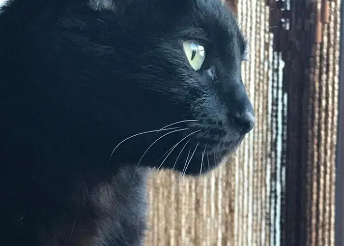 Casa Madera By Interhome Apartment